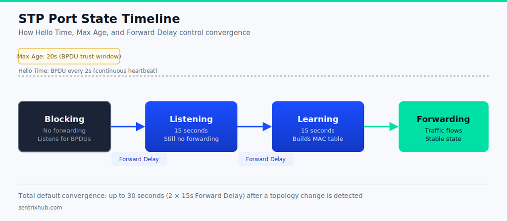 STP timer mistakes to avoid — port state timeline showing how Hello Time, Max Age, and Forward Delay control convergence from Blocking to Forwarding