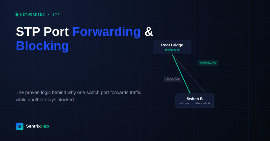 STP Port Forwarding and Blocking